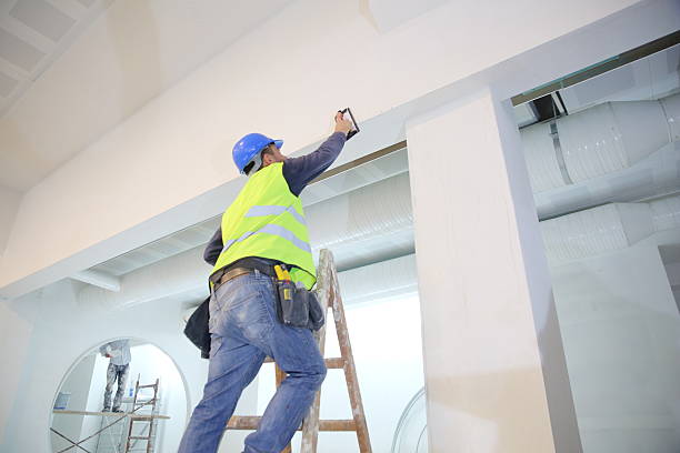 Best Water-Damaged Drywall Repair  in Gibbon, NE